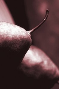 Peren door Alex Caminker