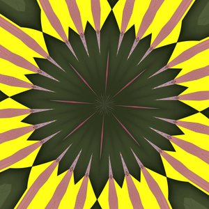 zonnebloem door Alex Caminker
