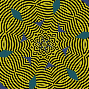symmetrie #13 door Alex Caminker