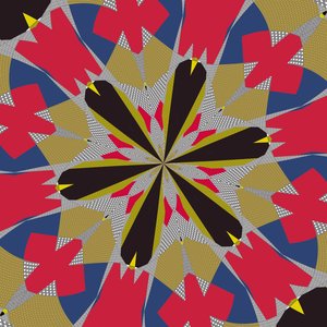symmetrie #16 door Alex Caminker