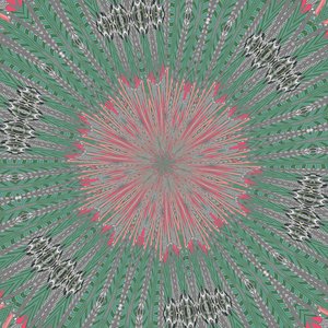 symmetrie #31 door Alex Caminker