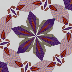 symmetrie #41 door Alex Caminker