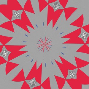 symmetrie #43 door Alex Caminker