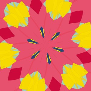 symmetrie #44 door Alex Caminker