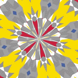 symmetrie #48 door Alex Caminker