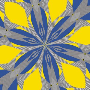 symmetrie #8 door Alex Caminker