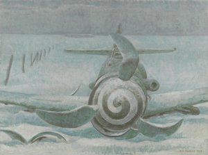 Messerschmitt door Alex Colville