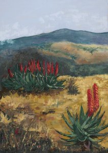 Red Aloes Desert Hills door Alex Cornell