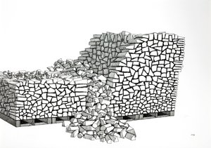Brandhout pallets (Instorting)