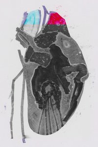 Gemiddelde door Alexander Adiels