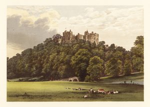 Dunster Castle, Somersetshire, Engeland, 1880 (gravure) door Alexander Francis (after) Lydon