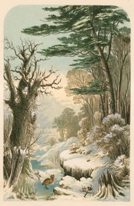 Illustratie voor Longfellow