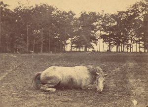 Is Dit Dood - Antietam Slagveld, september 1862 door Alexander Gardner