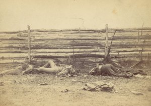 Uitzicht in het Veld, Aan de Westkant van de Hagerstown Road, Na de Slag bij Antietam