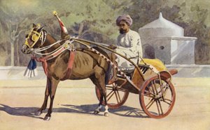 Een Benares Ekka door Alexander Henry Hallam Murray