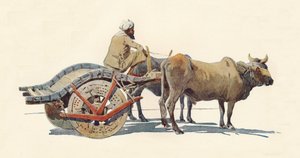 Een ossenkar, Jodhpur