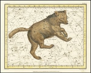 1822 - Alexander Jamieson -- Ursa Major door Alexander Jamieson