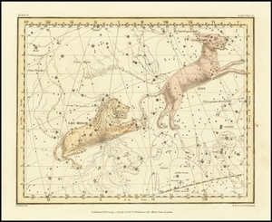 1822 - Alexander Jamieson - Lynx  Leo Minor door Alexander Jamieson