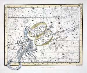 De Sterrenbeelden (Plate XIX) Weegschaal en Schorpioen, uit 
