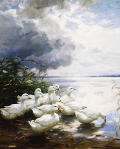 Eenden aan de Rand van het Meer door Alexander Koester
