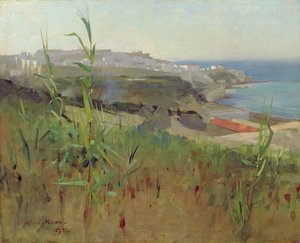 Tanger vanaf de duinen, 1892 door Alexander Mann