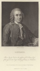 Linnaeus door Alexander Roslin