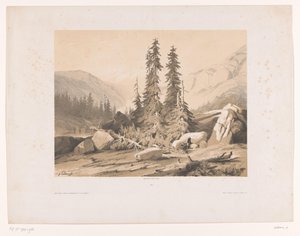 Berglandschap met sparren en berggeiten door Alexandre Calame