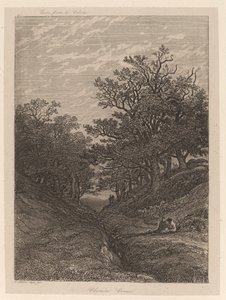 Chemin Creux door Alexandre Calame