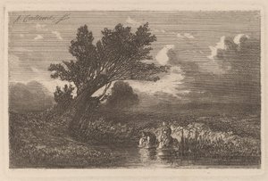 Wasseressen