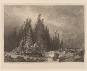 Bergdennen