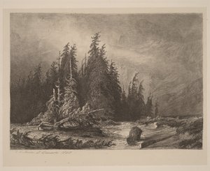 Bergdennen door Alexandre Calame