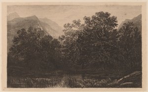 Bergvijver