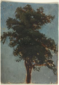 Boomstudie, tweede derde 19e eeuw door Alexandre Calame
