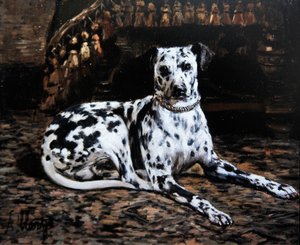 Portret van een dalmatiër