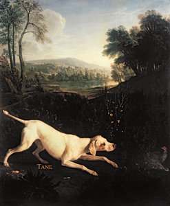 De hond van Lodewijk XIV, Tane door Alexandre Francois Desportes