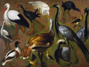 Studie van vogels, door Alexandre-Francois Desportes