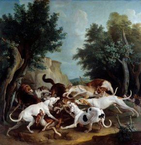 Wolvenjacht