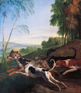 Wolvenjacht