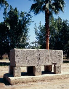 Egypte, Caïro, Oud Memphis, gegraveerde sarcofaag door Nicolas Toussaint Charlet
