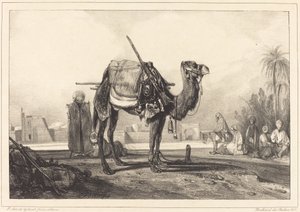 Kameel en Arabieren