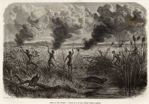 De Bongo-stam jaagt de rat uit het riet (voor naturalisten: aulacode), zodra ze de plaats spotten waar de knaagdieren leven, wordt er vuur gestoken aan het droge gras rond hun huisje, totdat de beesten, gedwongen te vluchten, zich aan de jagers presenteren door Alexandre de (after) Bar
