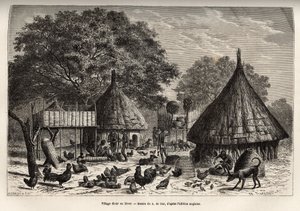 Dorp Diour in de winter (Soedan) en dagelijkse activiteiten van de inwoners te midden van dieren die door de gemeenschap worden grootgebracht, gravure naar de tekening van A. de Bar, ter illustratie van de reis naar het hart van Afrika in 1868-1871, door D door Alexandre de (after) Bar