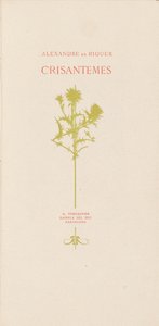 Chrysanten