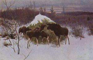 Kudde elanden