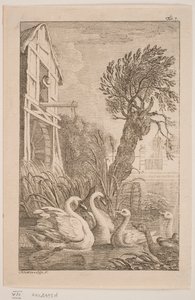 De Gans en de Zwaan