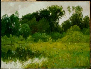 Na Regen, aan Minnehaha Creek door Alexis Jean Fournier