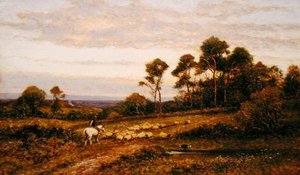 Een weiland in Surrey