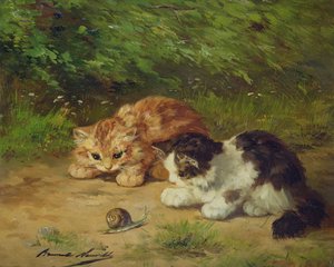 Kittens en slak