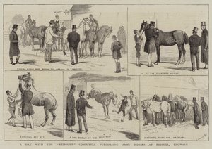 Een dag met het Remount Committee, legerpaarden kopen in Redhill, Edgware