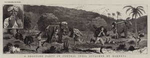 Een Jachtpartij in Centraal India aangevallen door Horzels